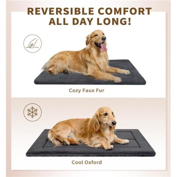 Washable Dog Bed for Size Dogs, Reversible Foam Floor Dog Mat 24*18, - Picture 2 of 7